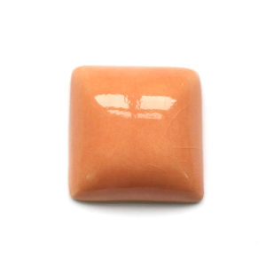 Claybright Coral 012
